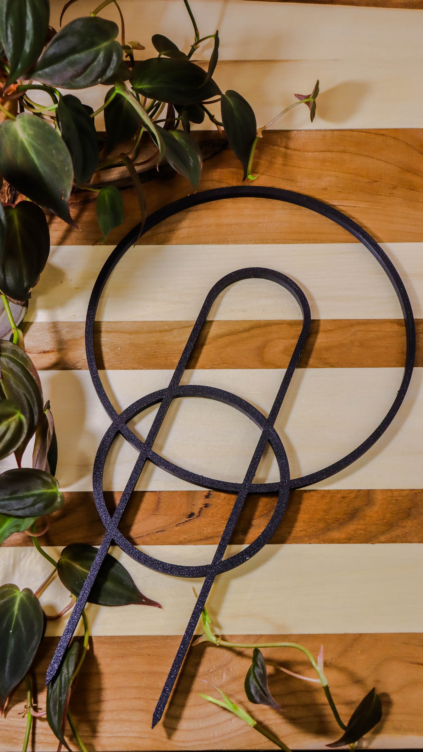 Plant supports