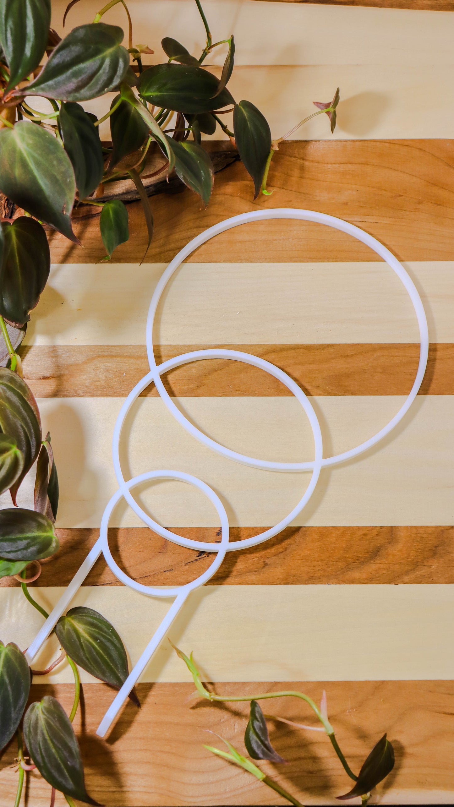 Plant supports