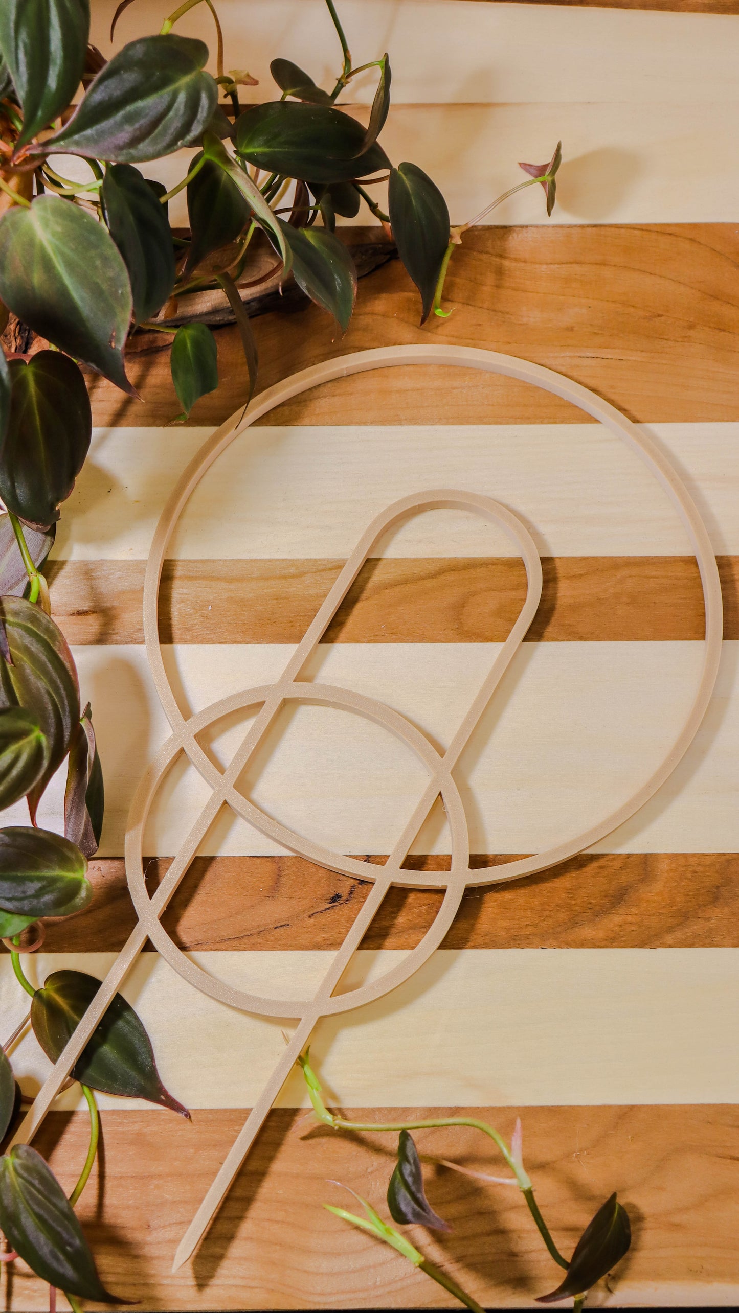 Plant supports
