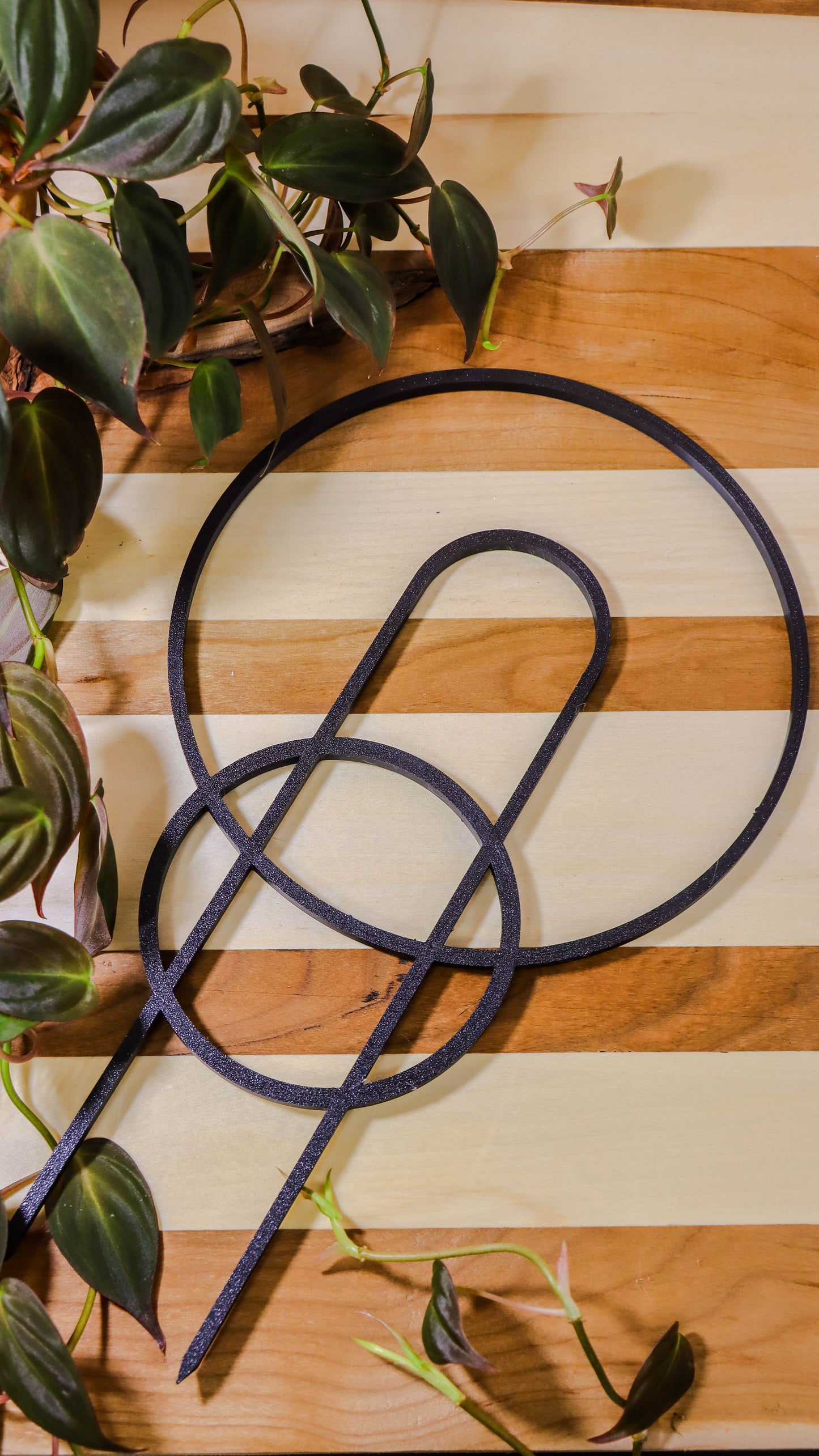 Plant supports