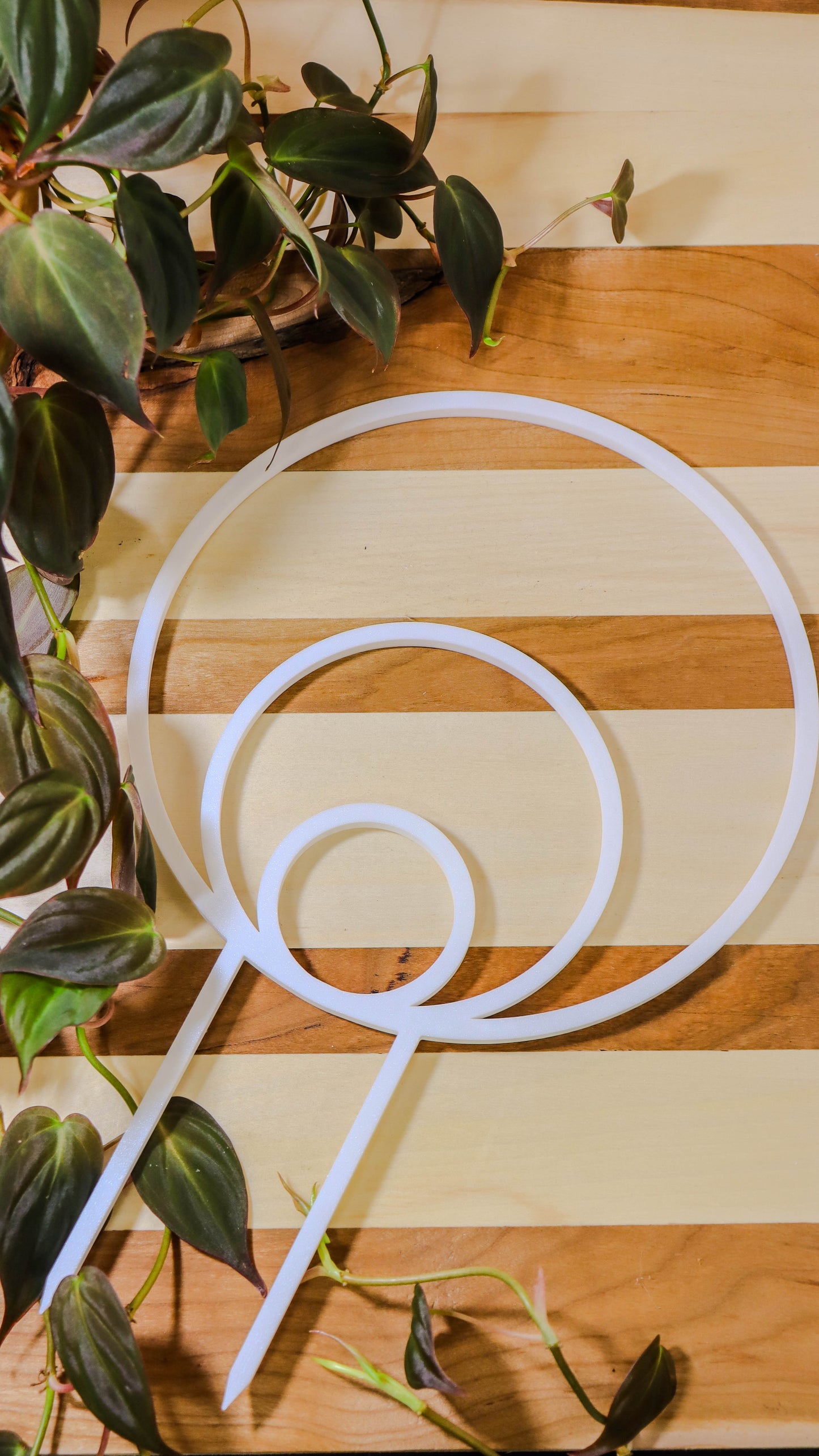Plant supports