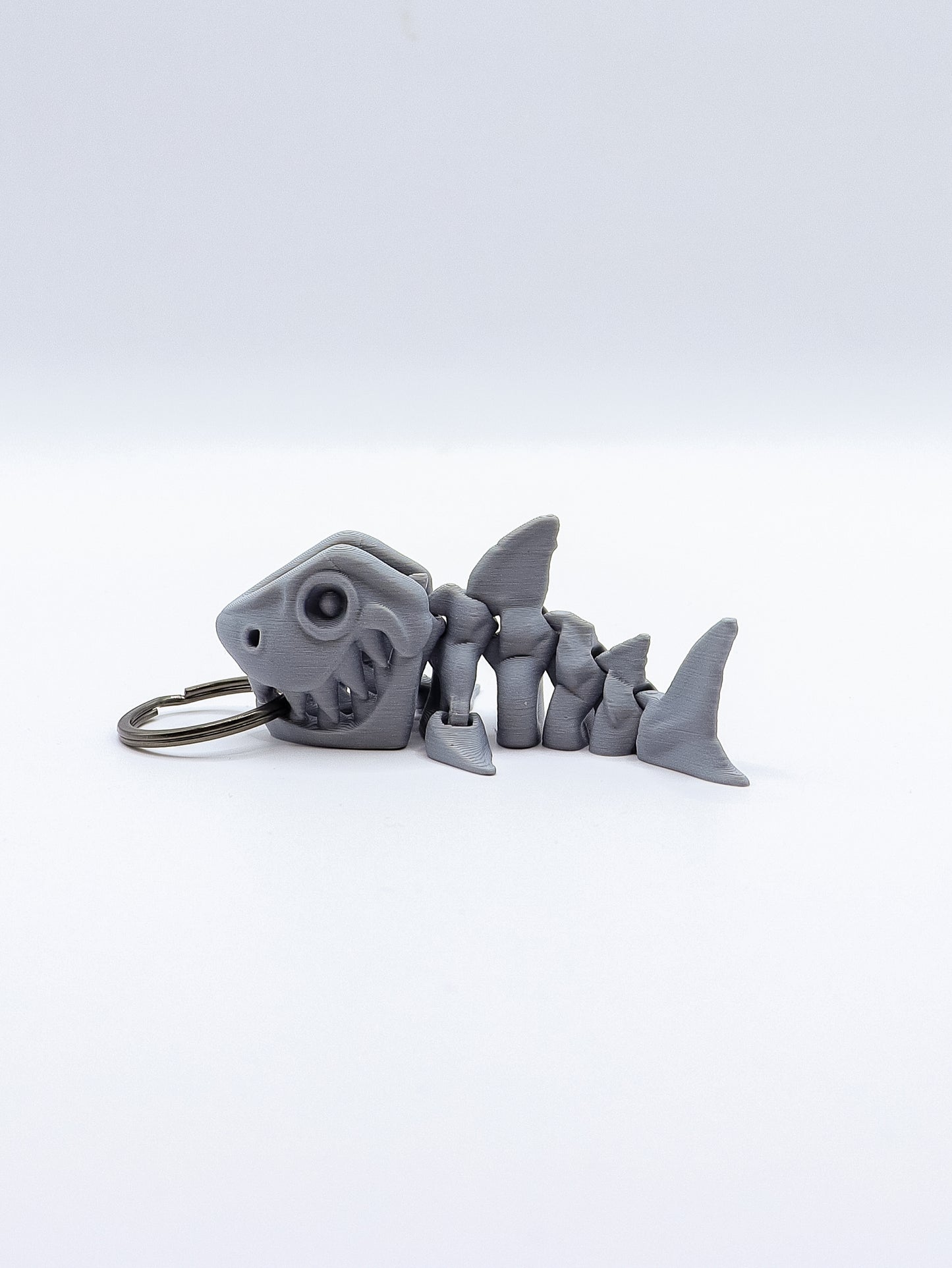 Skeletal Shark