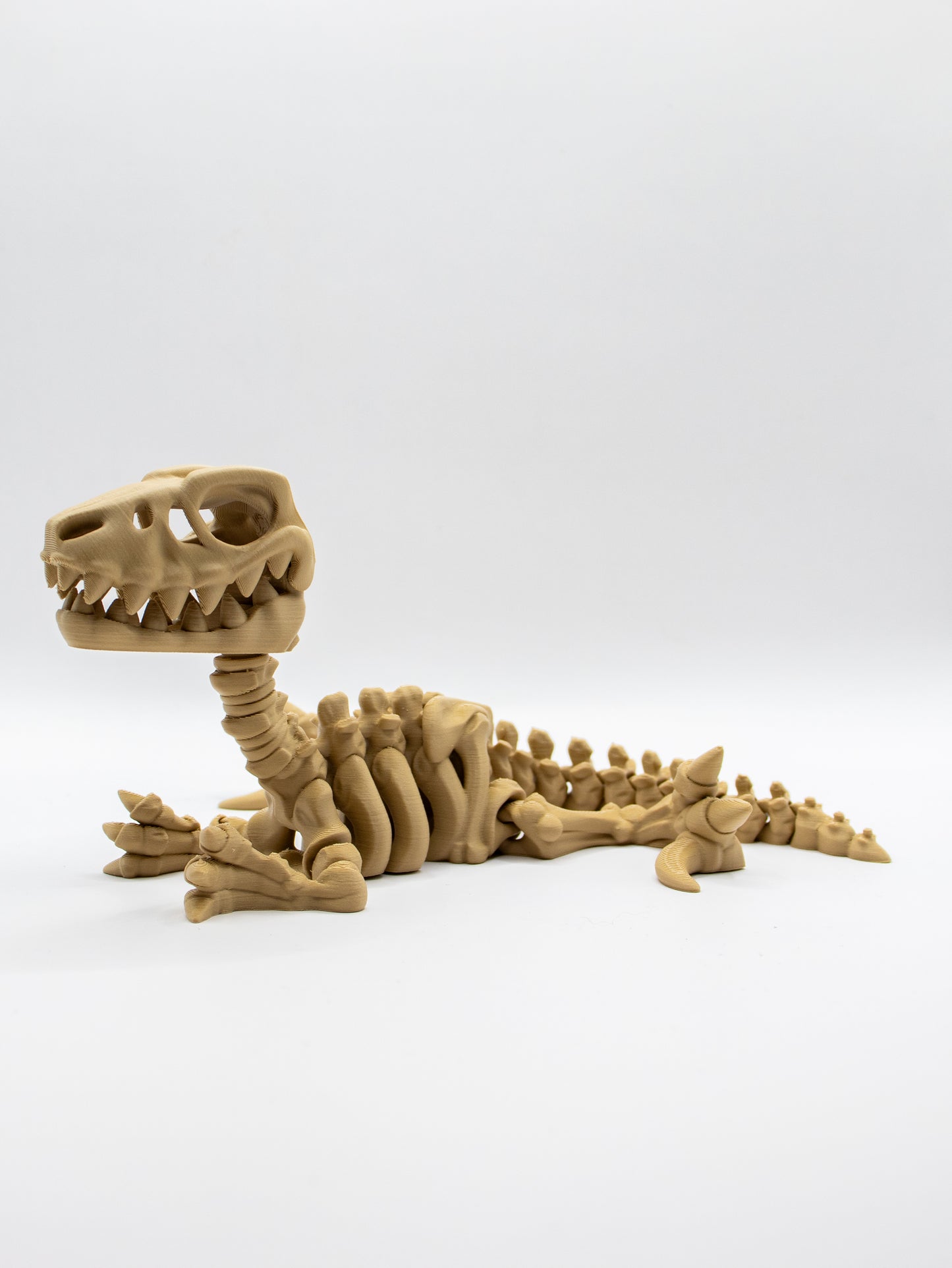 Skeletal Velociraptor
