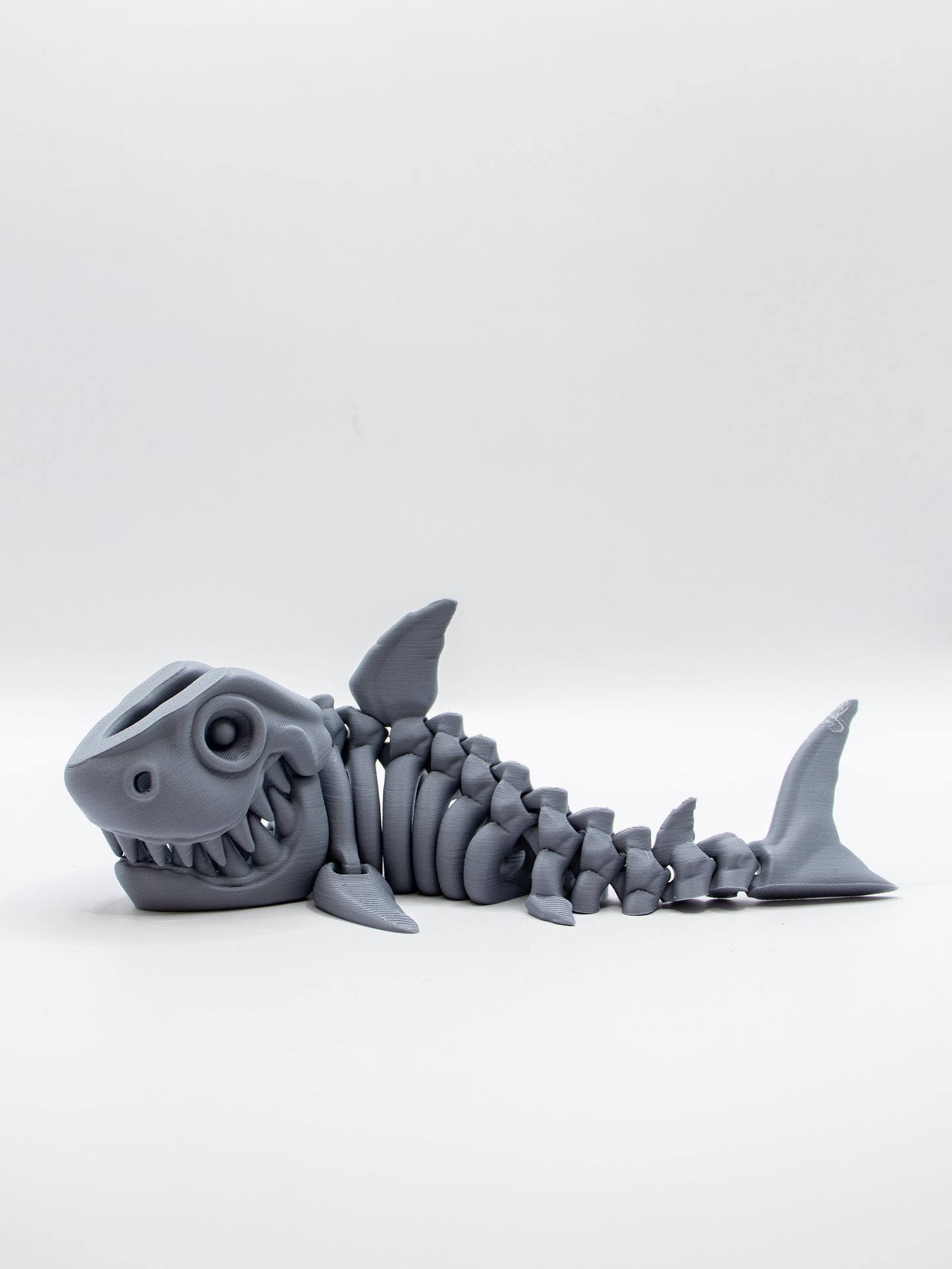Skeletal Shark