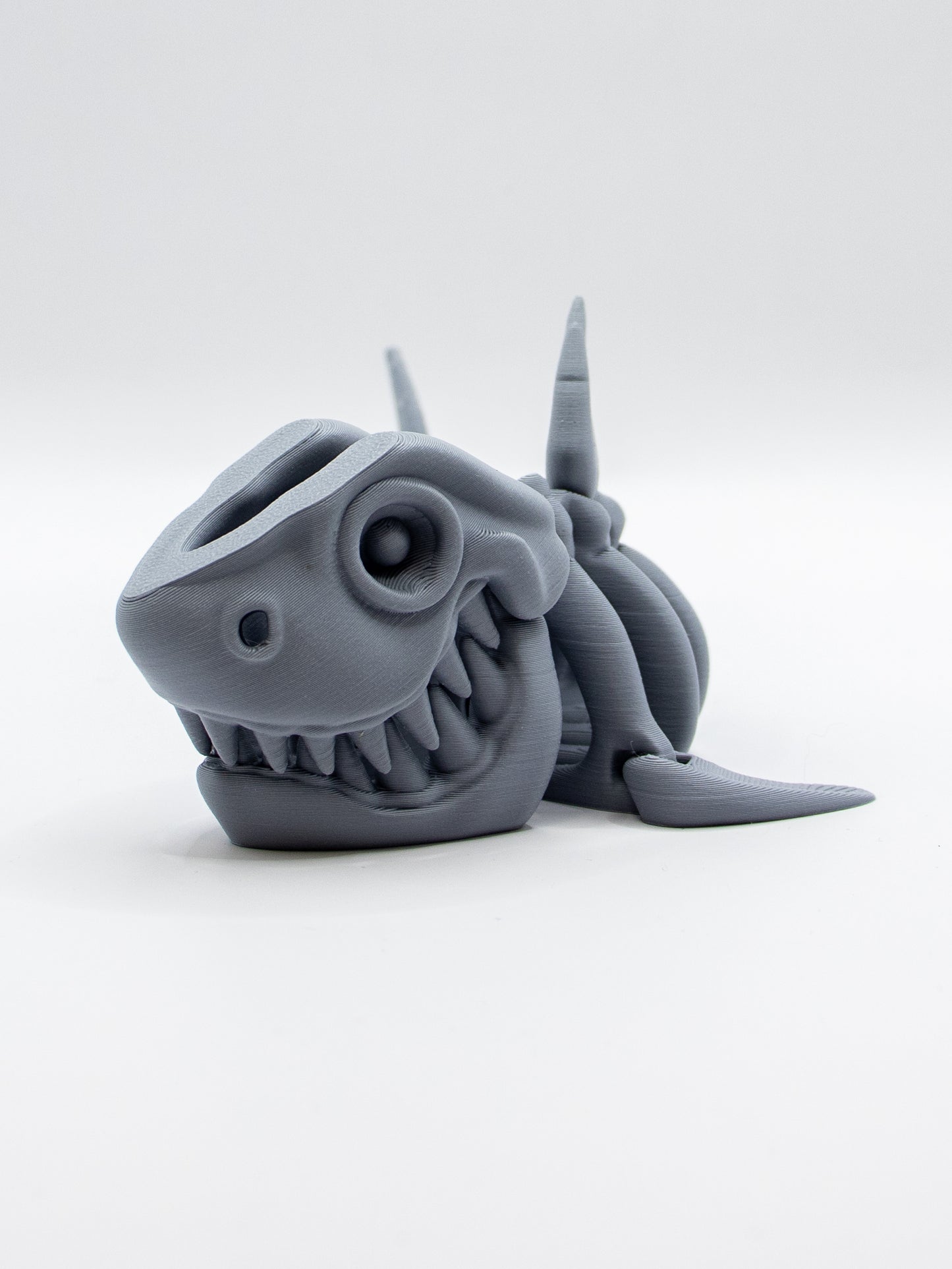 Skeletal Shark