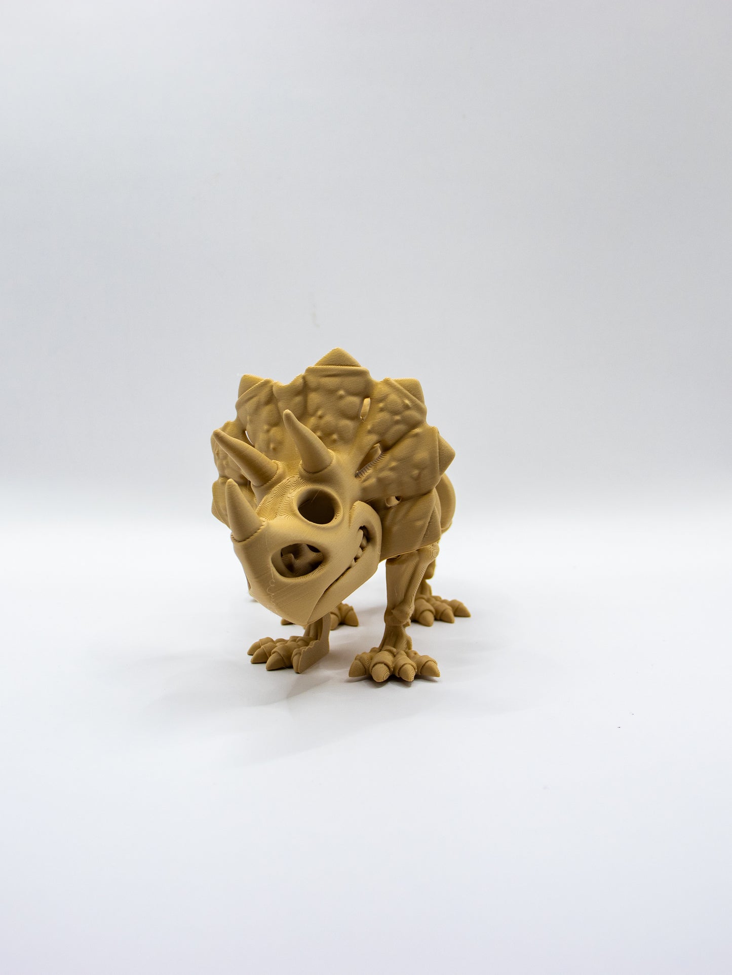 Skeletal Triceratops
