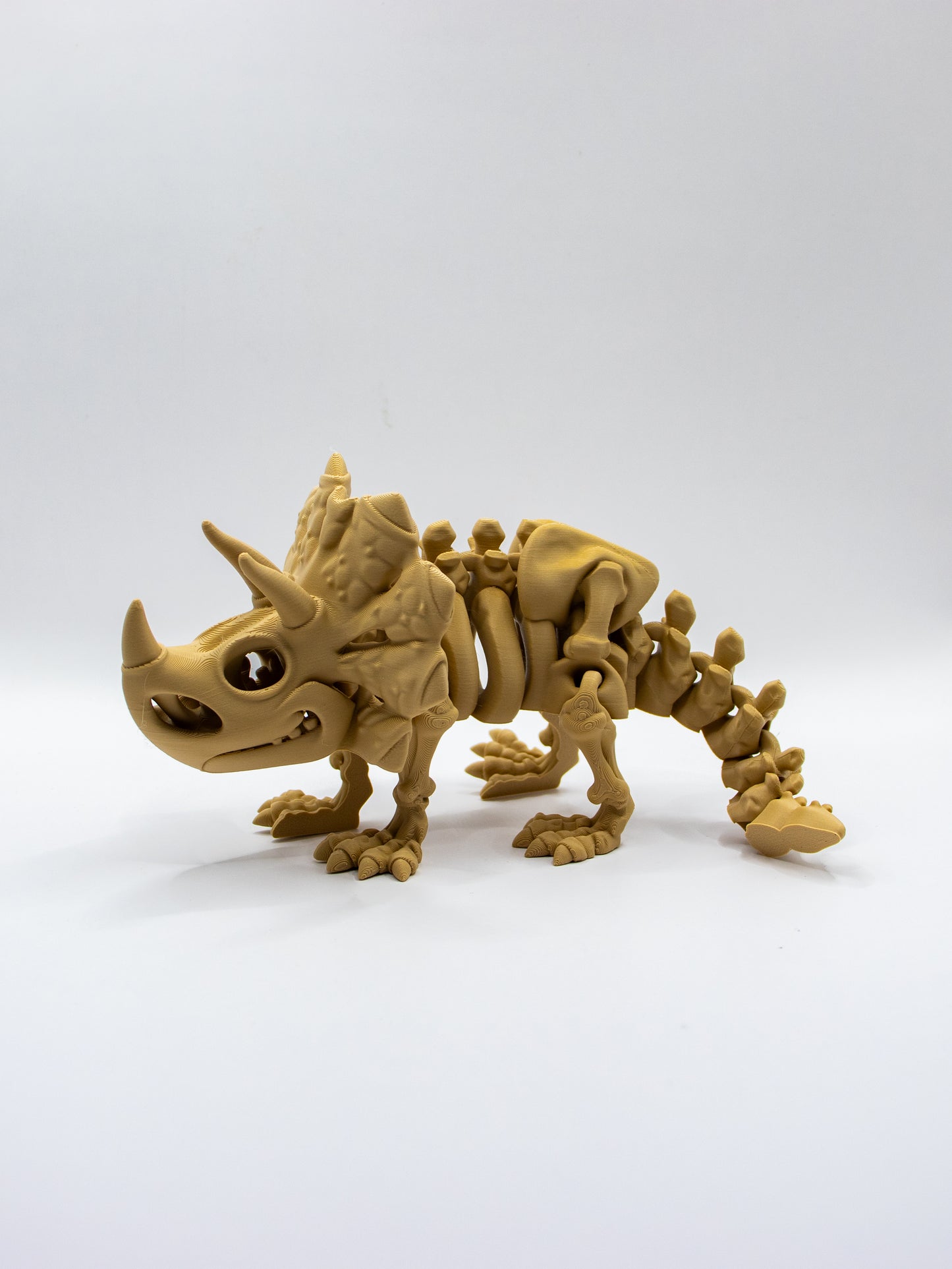 Skeletal Triceratops