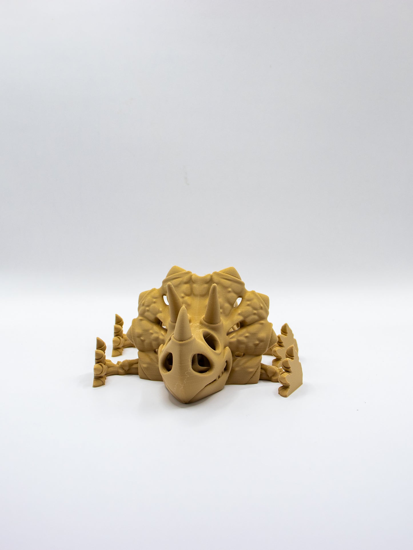 Skeletal Triceratops