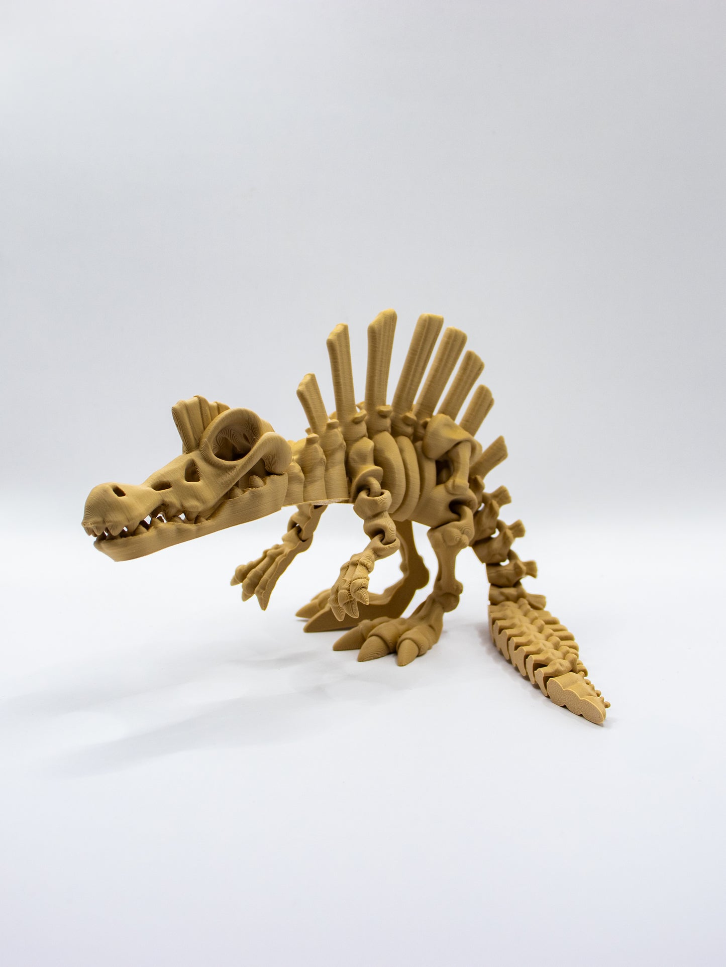 Skeletal Spinosaurus