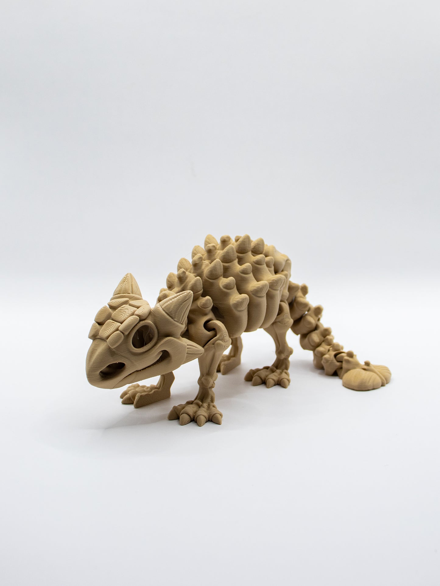 Skeletal Ankylosaur