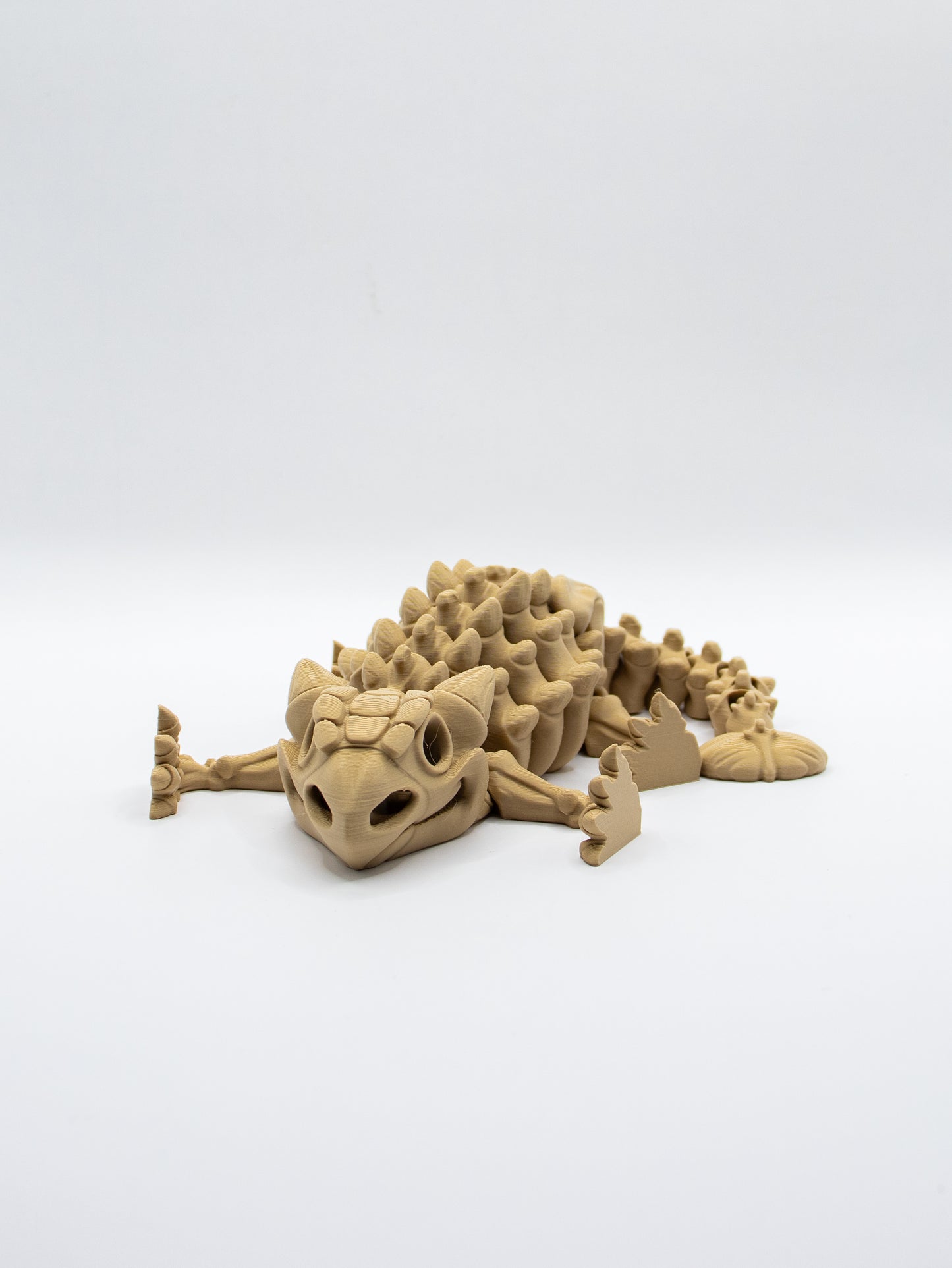 Skeletal Ankylosaur