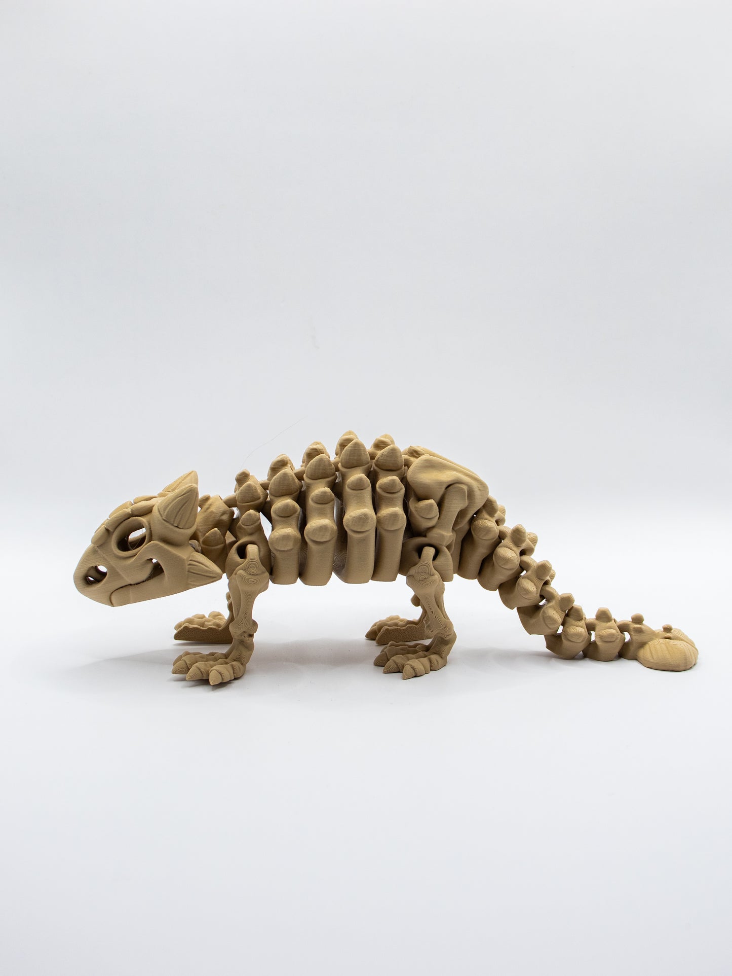 Skeletal Ankylosaur