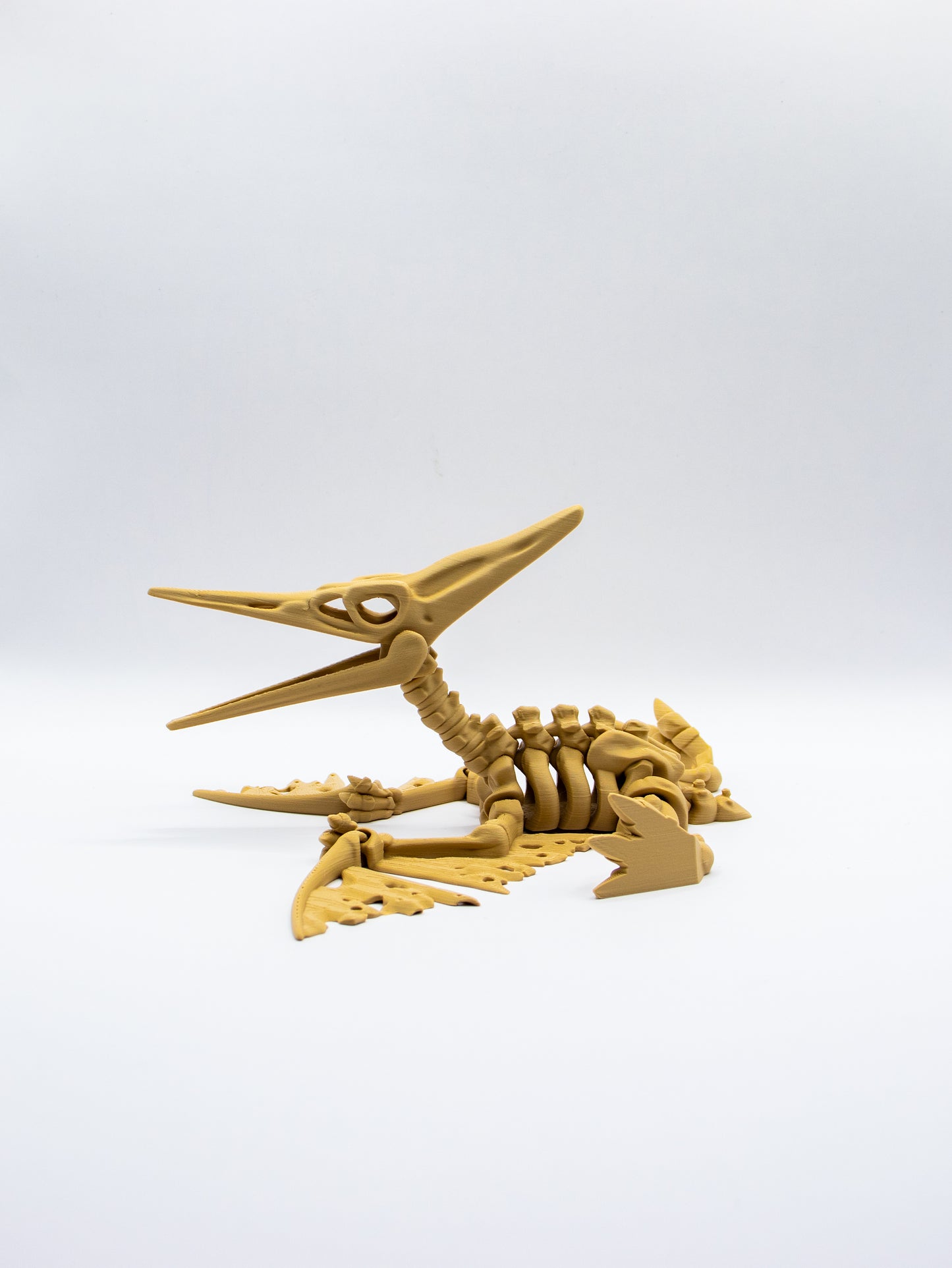 Skeletal Pteranodon