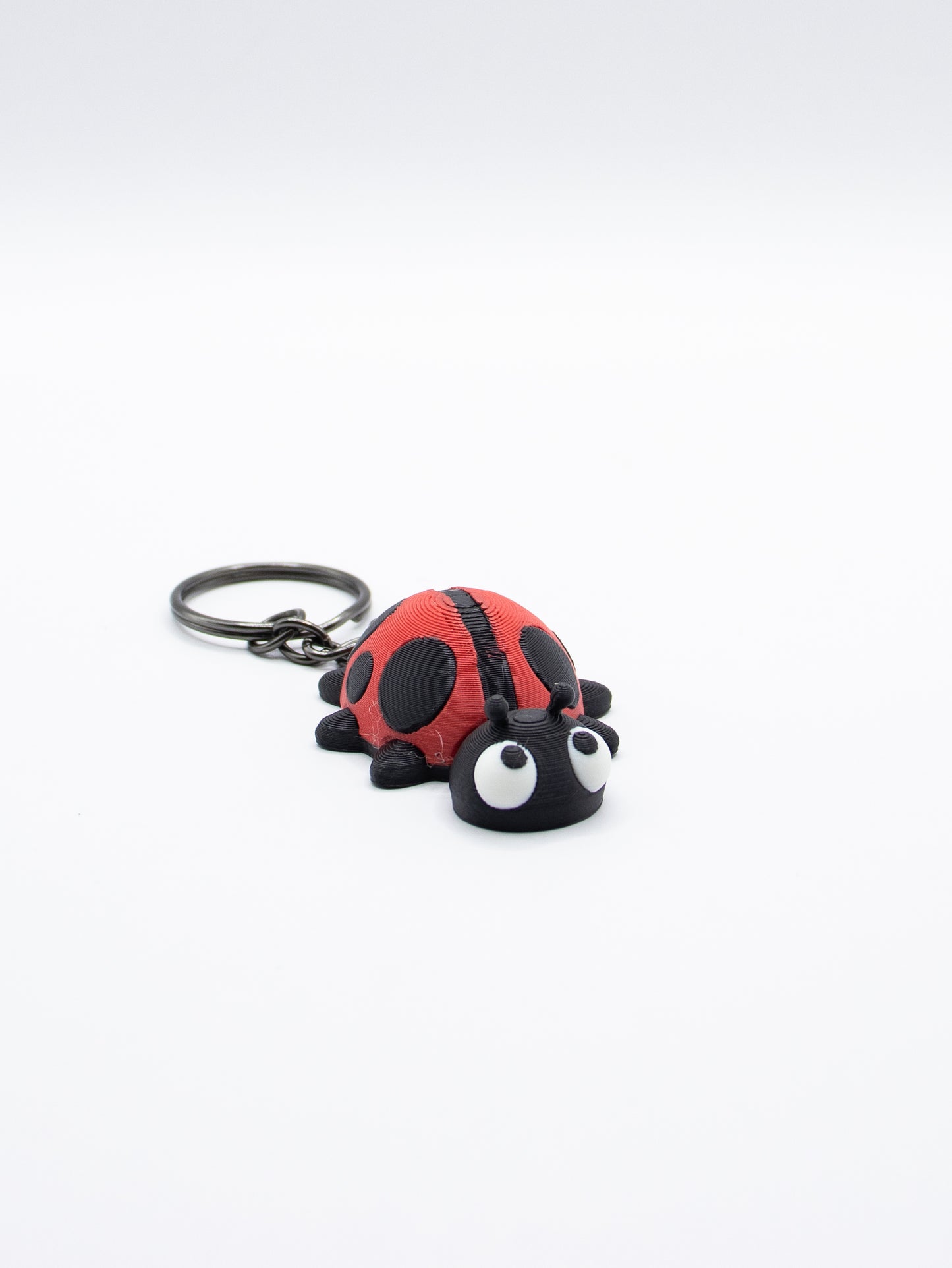 Ladybug