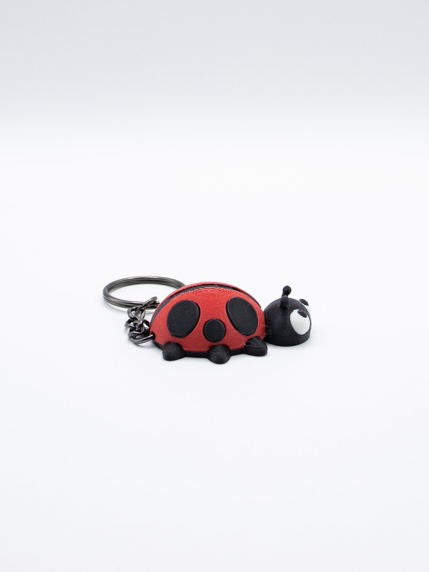 Ladybug