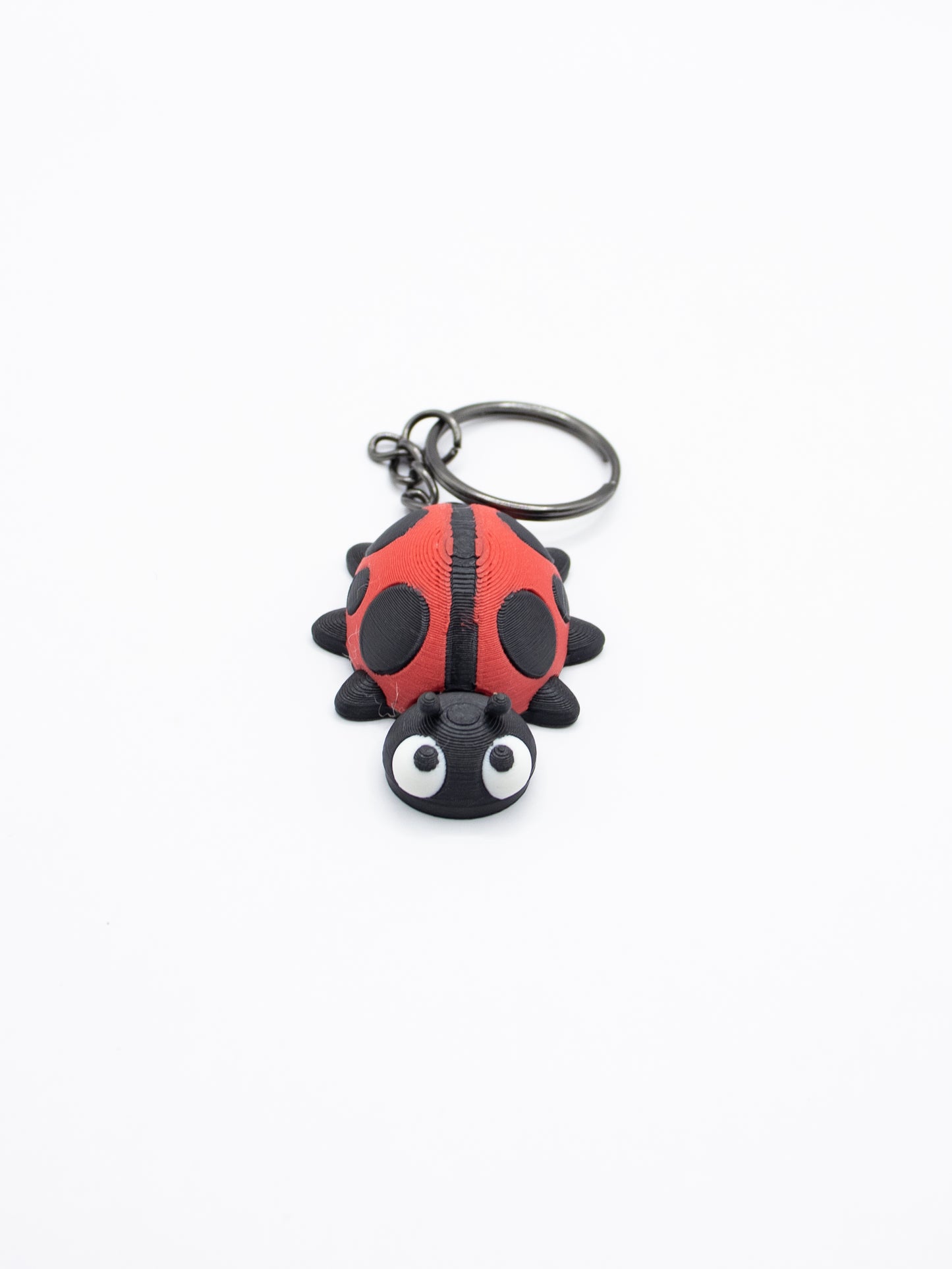 Ladybug
