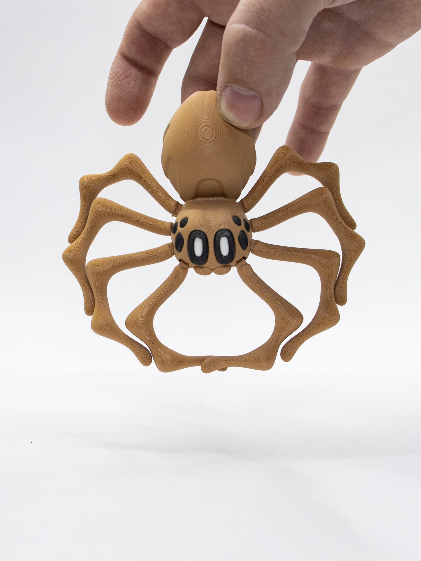 Spider