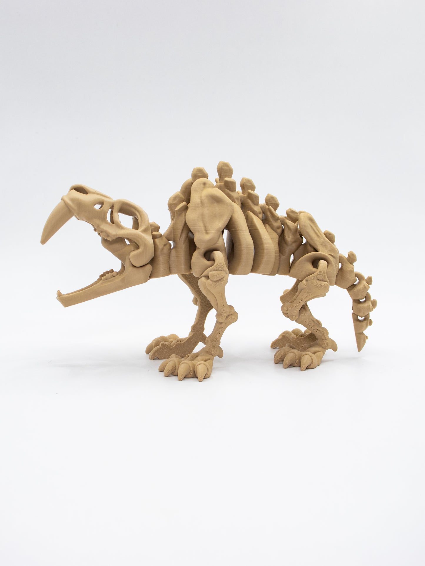Skeletal Sabertooth