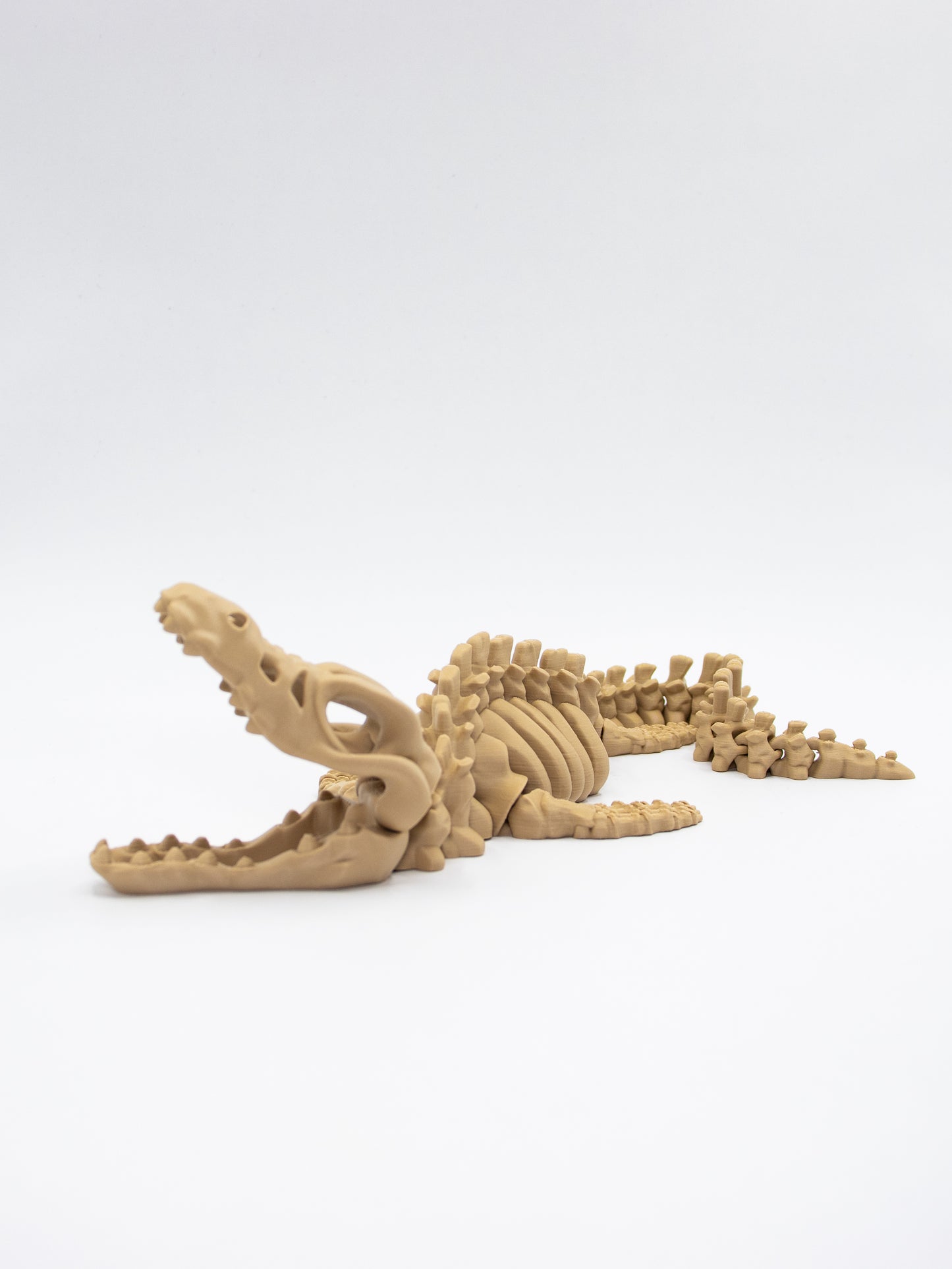 Skeletal Mosasaurus