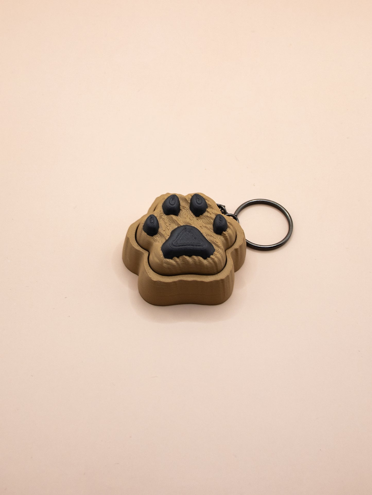 Dog paw