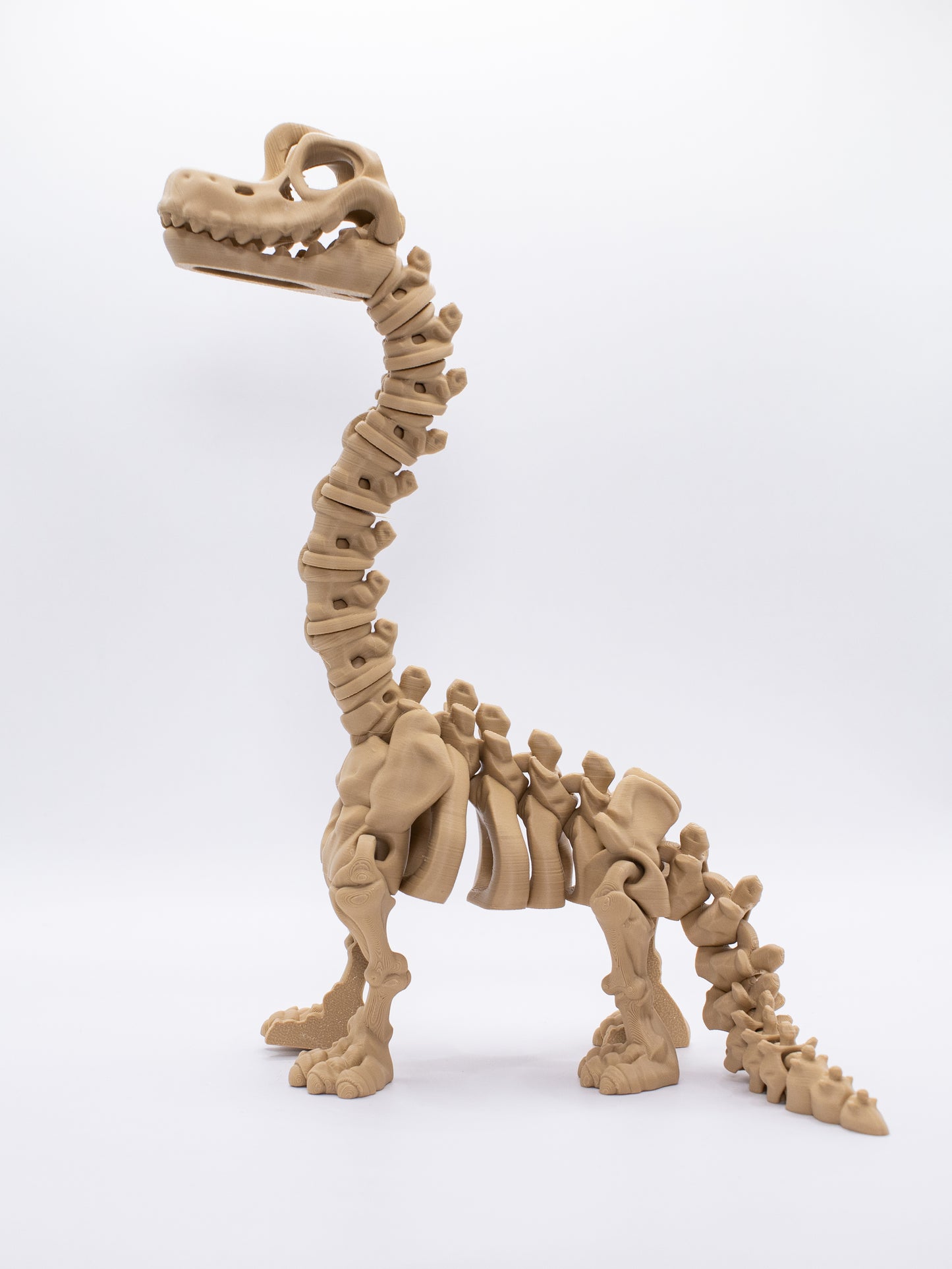 Brachiosaure squelettique