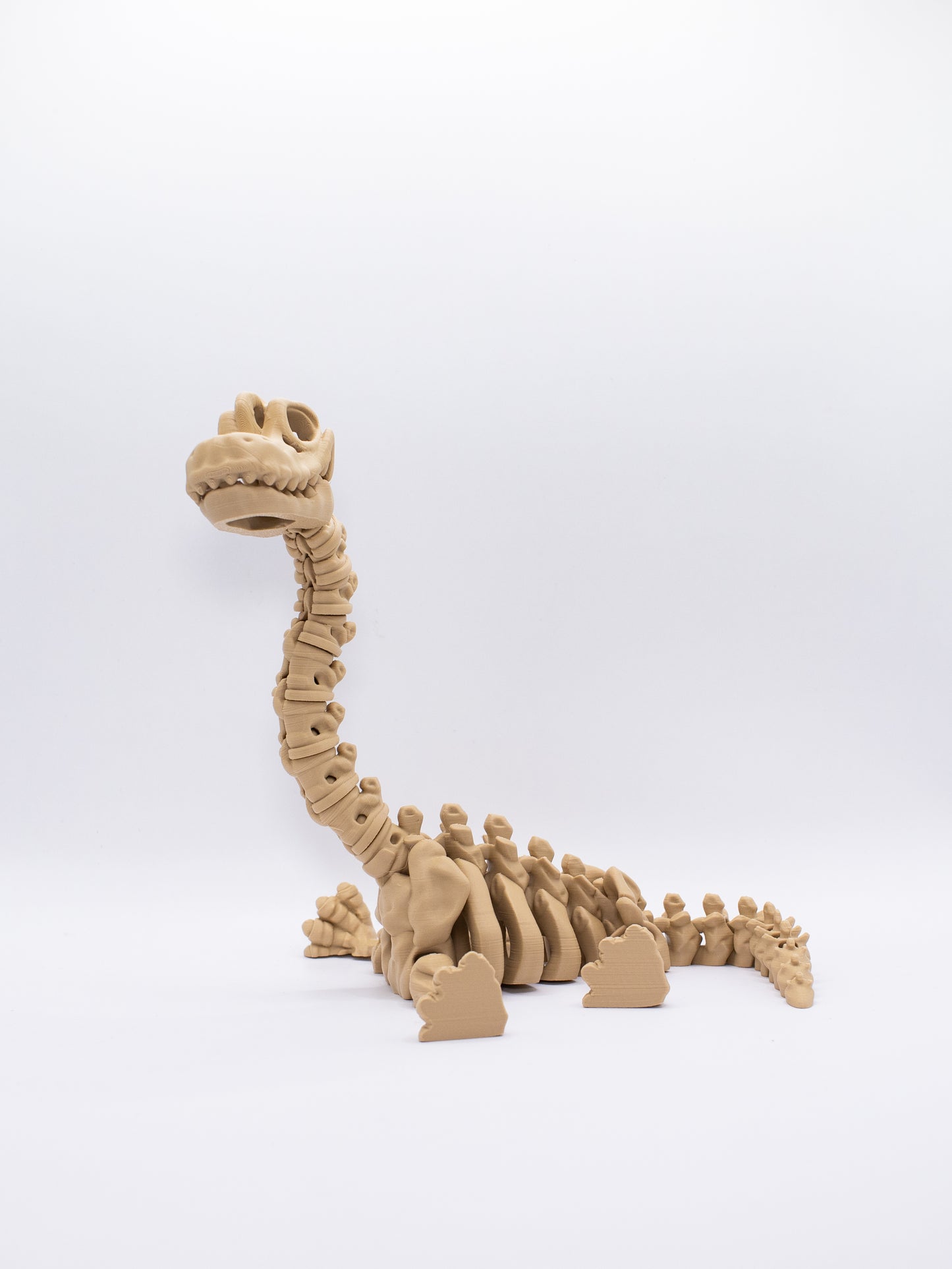 Brachiosaure squelettique