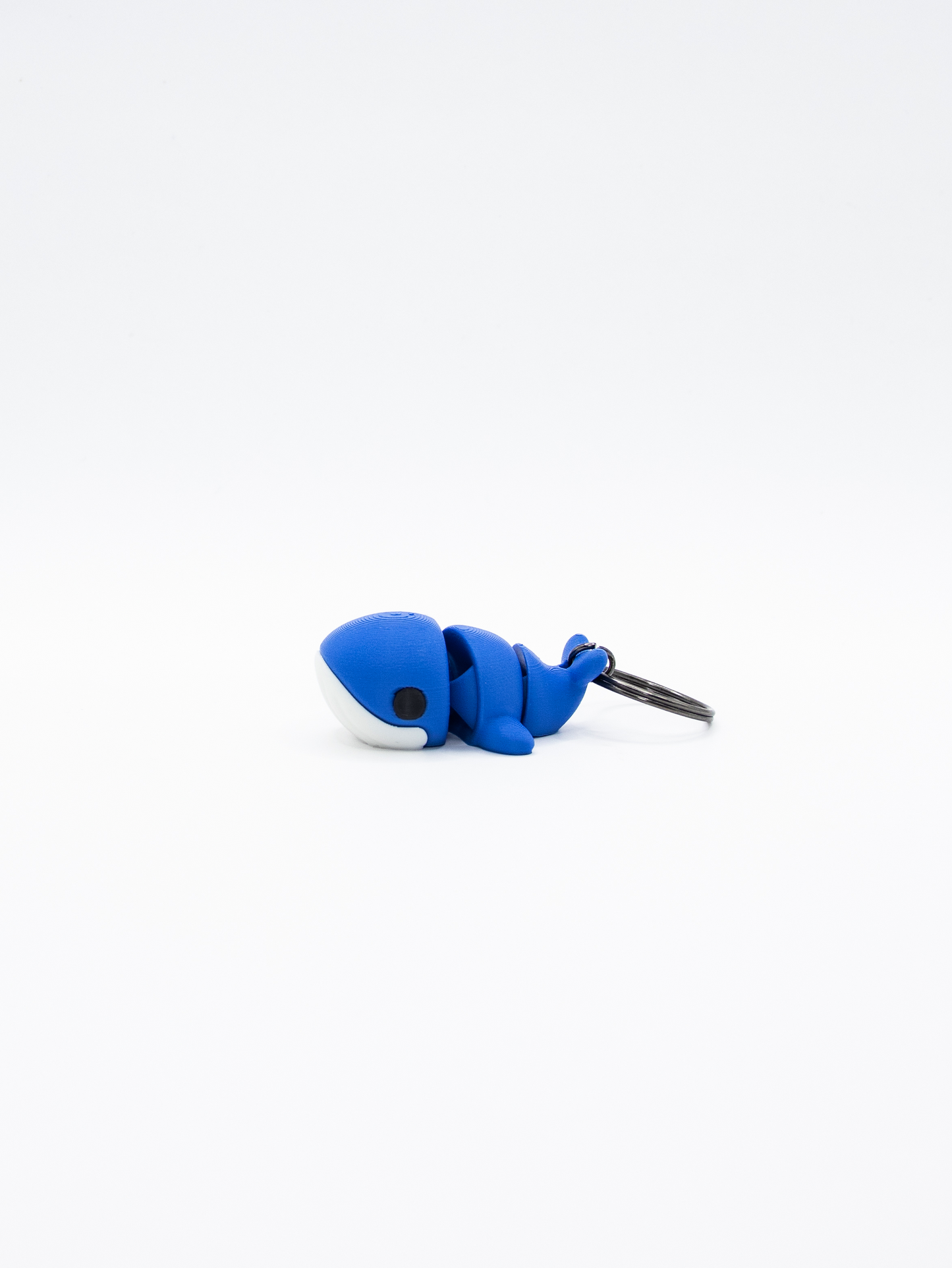 Baleine Bleue