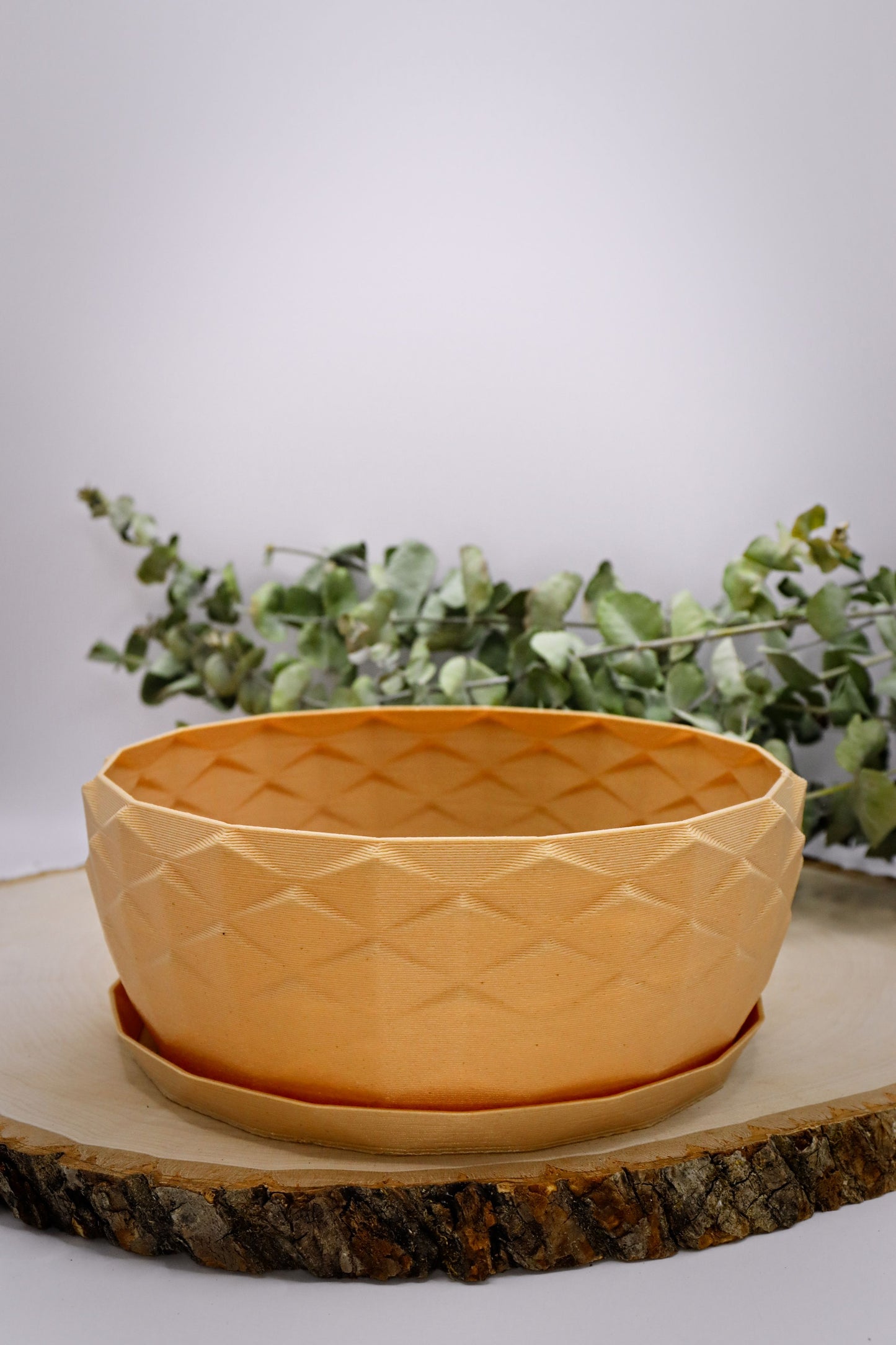 L'ananas