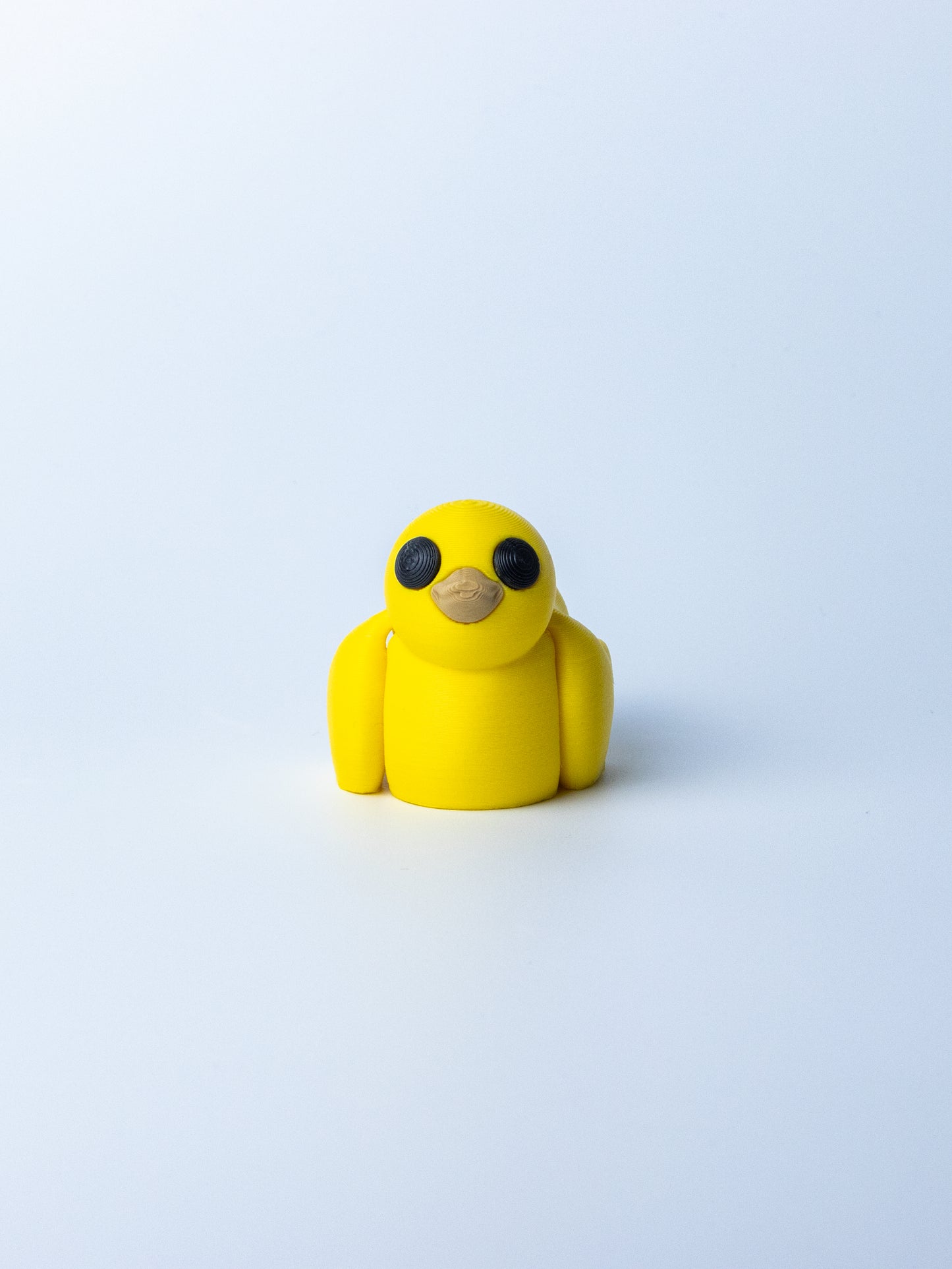 Bioplastic Keychain – Eco-Friendly and Adorable