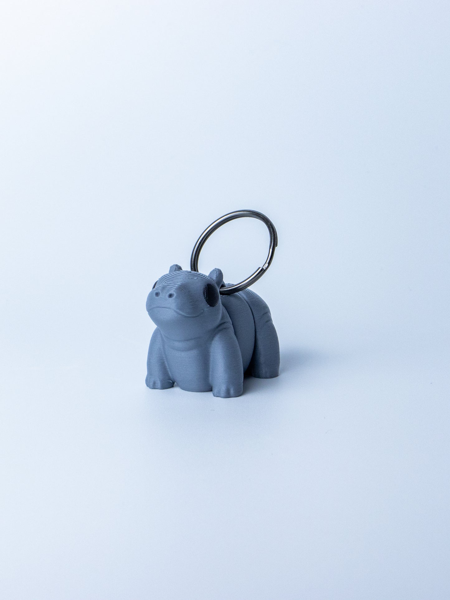 Bioplastic Keychain – Eco-Friendly and Adorable