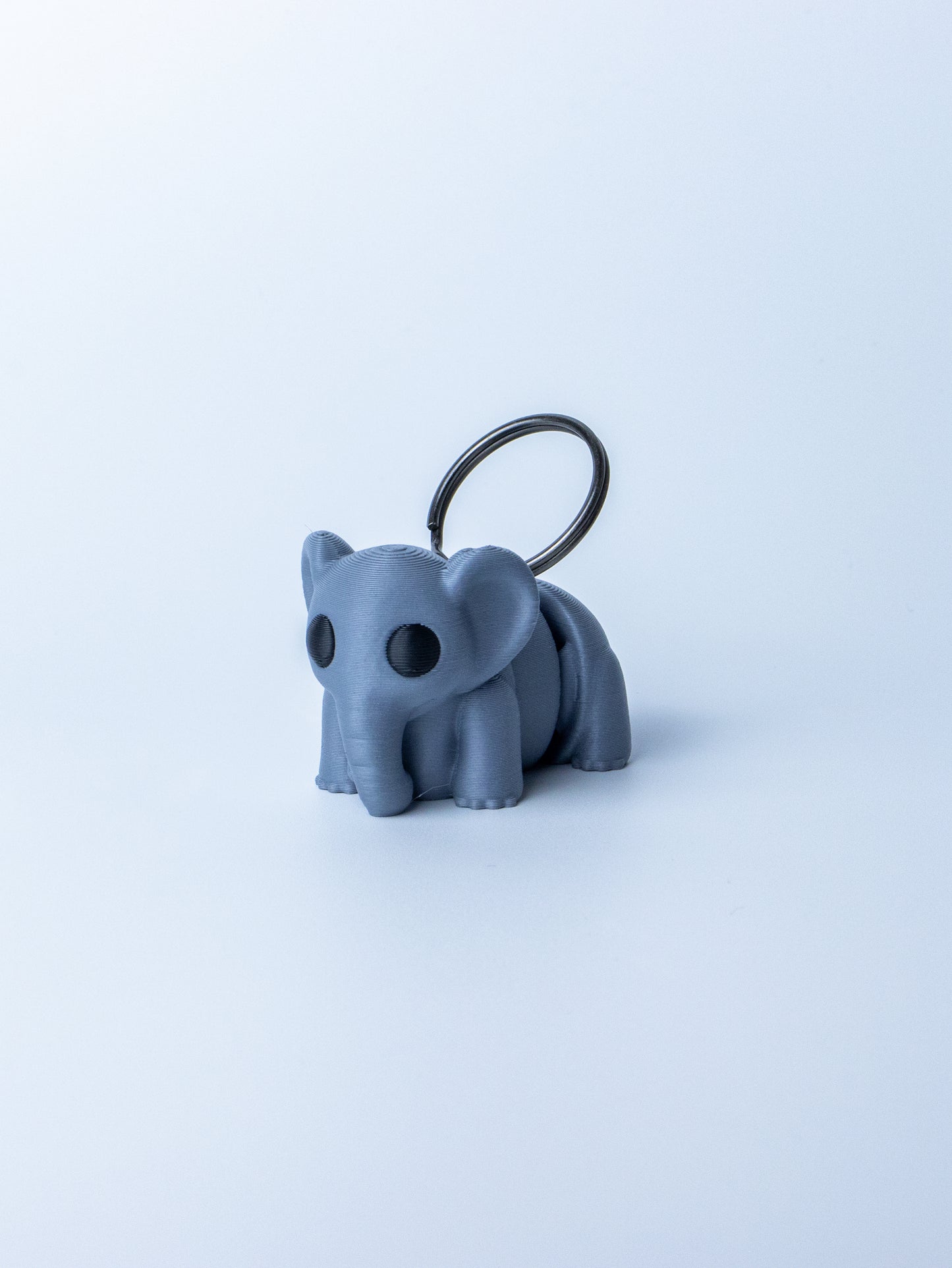 Bioplastic Keychain – Eco-Friendly and Adorable