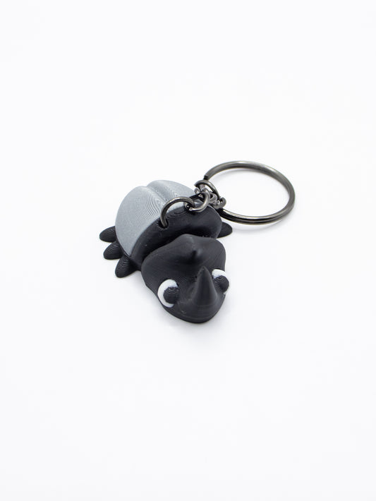 Scarabée rhinoceros