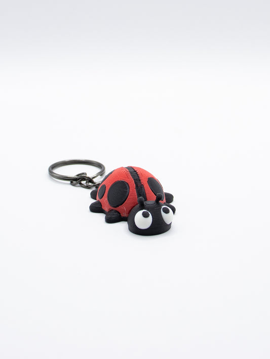Coccinelle