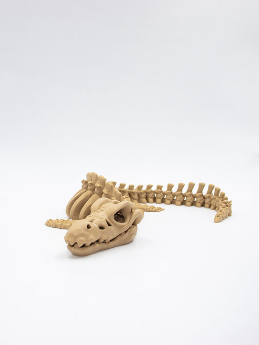 Skeletal  Mosasaurus
