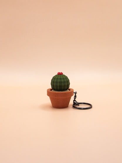 Cactus et Succulentes