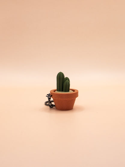 Cactus et Succulentes