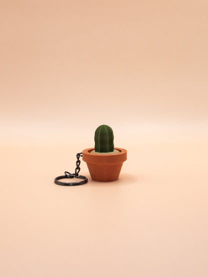 Cactus et Succulentes
