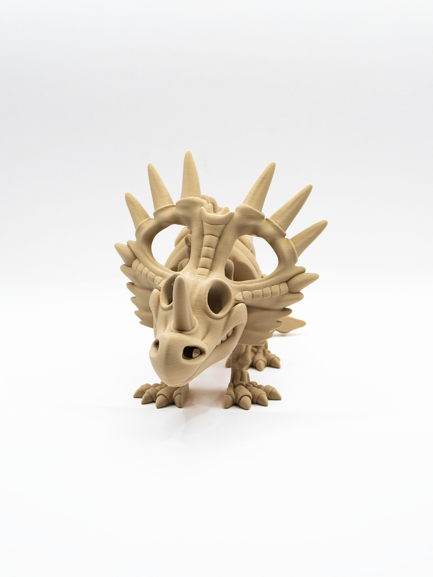 Styracosaure squelettique