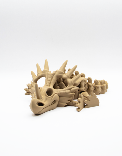 Styracosaure squelettique