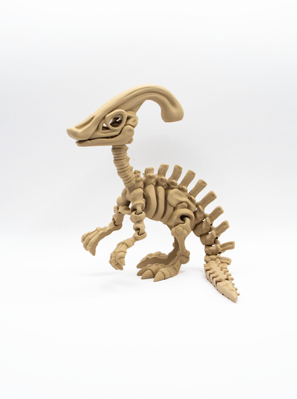 Parasaurolophus squelettique