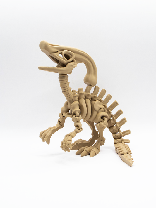 Parasaurolophus squelettique