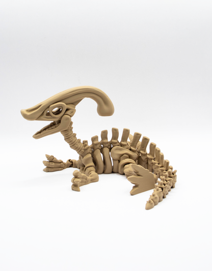 Parasaurolophus squelettique