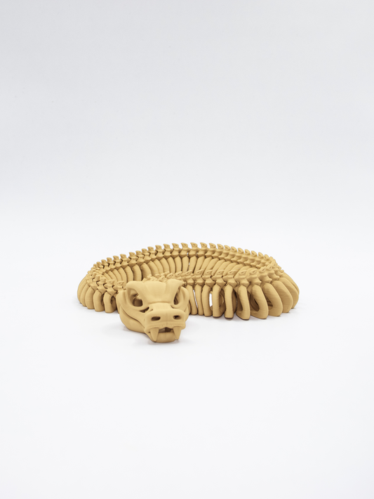 Snake skeleton