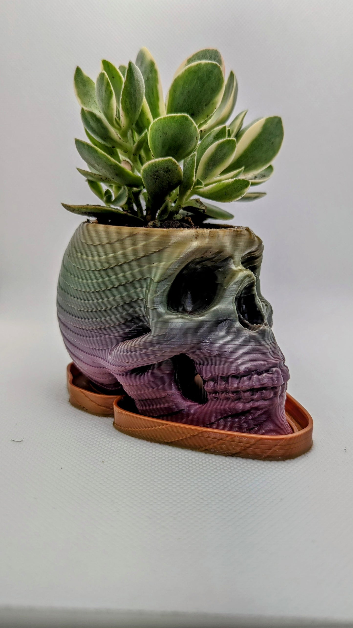 Hex3D skulls